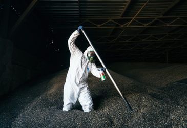 Вредители сухофруктов и орехов