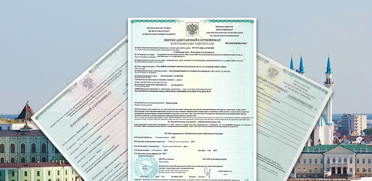 Фитосанитарный сертификат